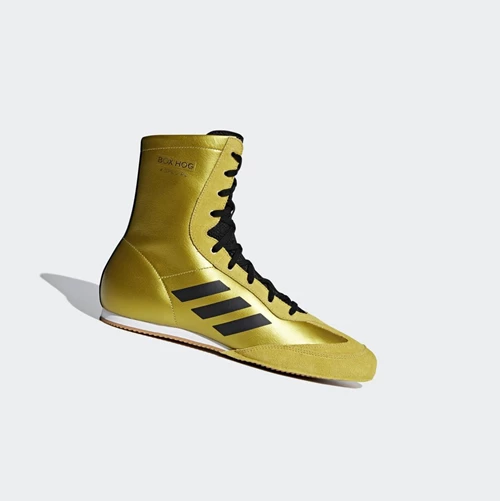 Boxerské Topánky Adidas Box Hog x Special Panske Zlate | 053SKMORVXT