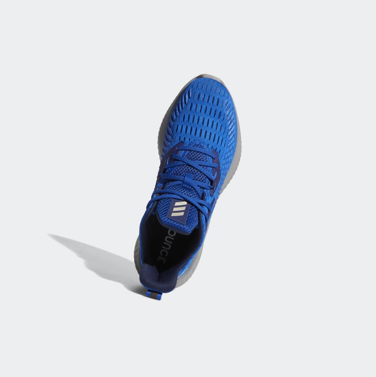 Bezecke Topanky Adidas Alphabounce+ Panske Modre | 482SKNIAEDV